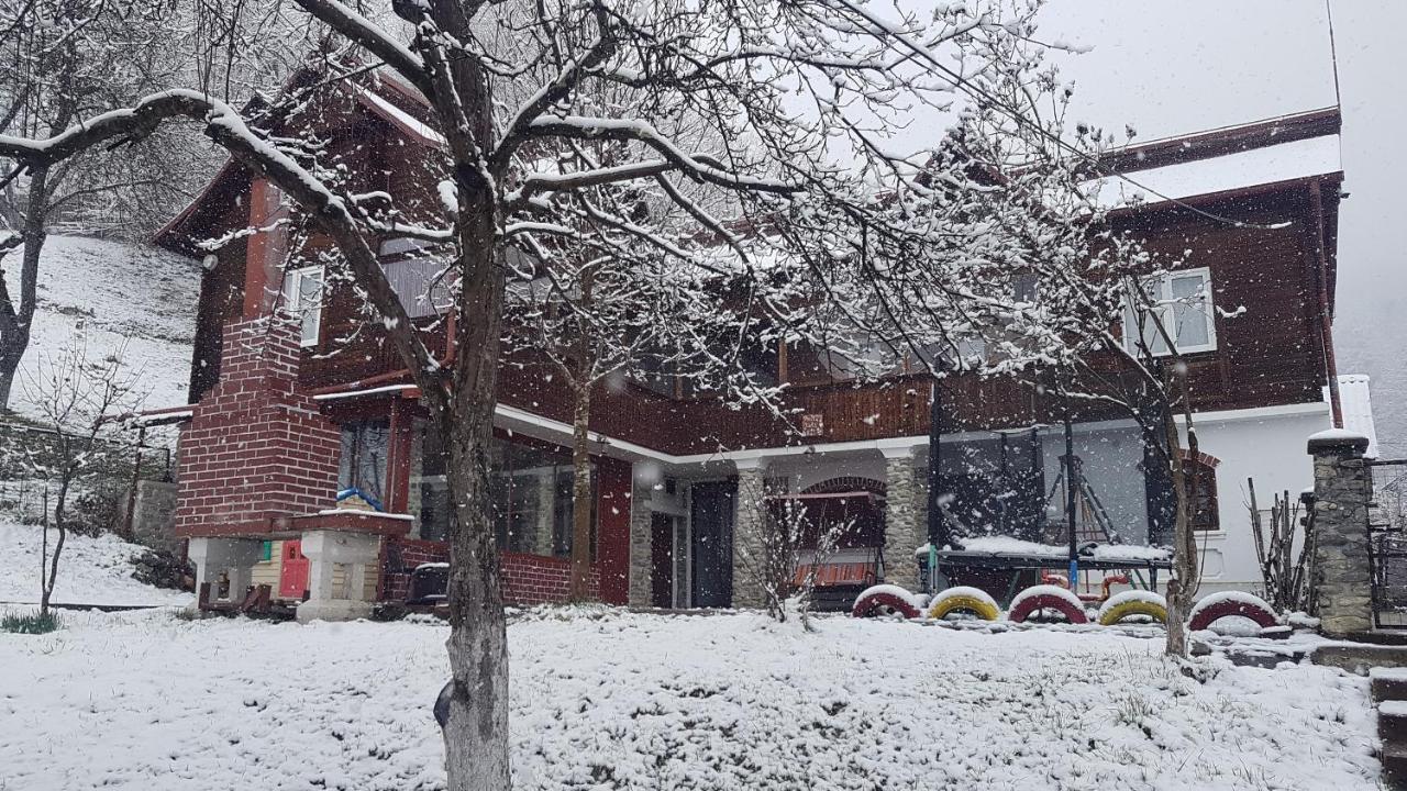 Villa Casa Colt De Rai Brezoi Esterno foto