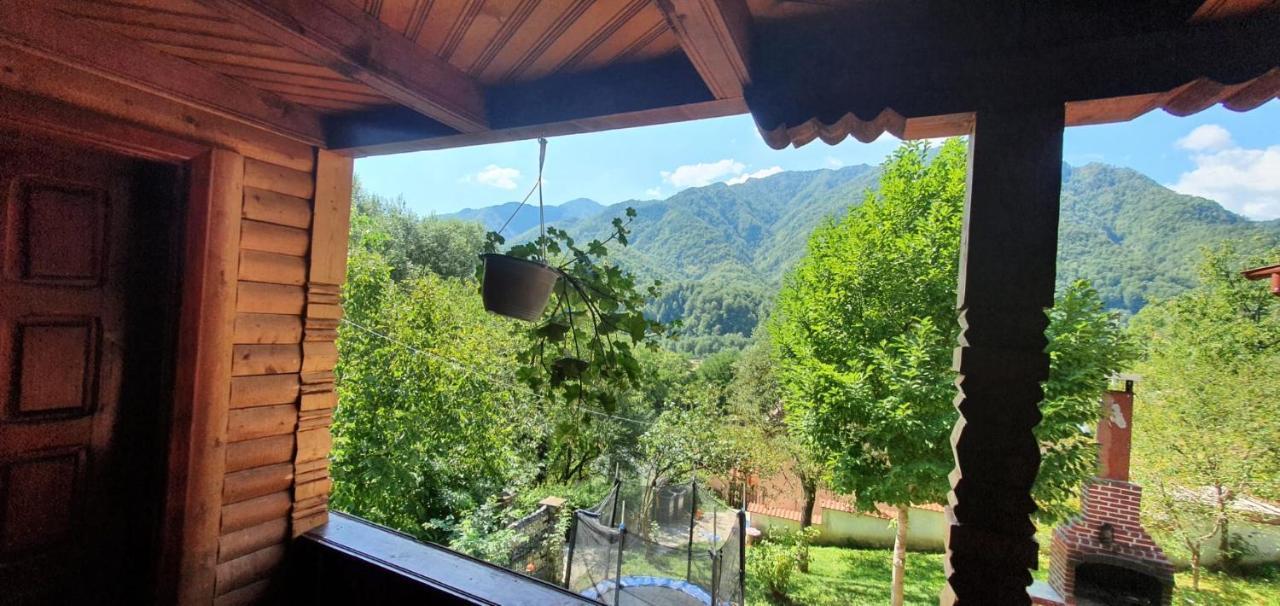 Villa Casa Colt De Rai Brezoi Esterno foto