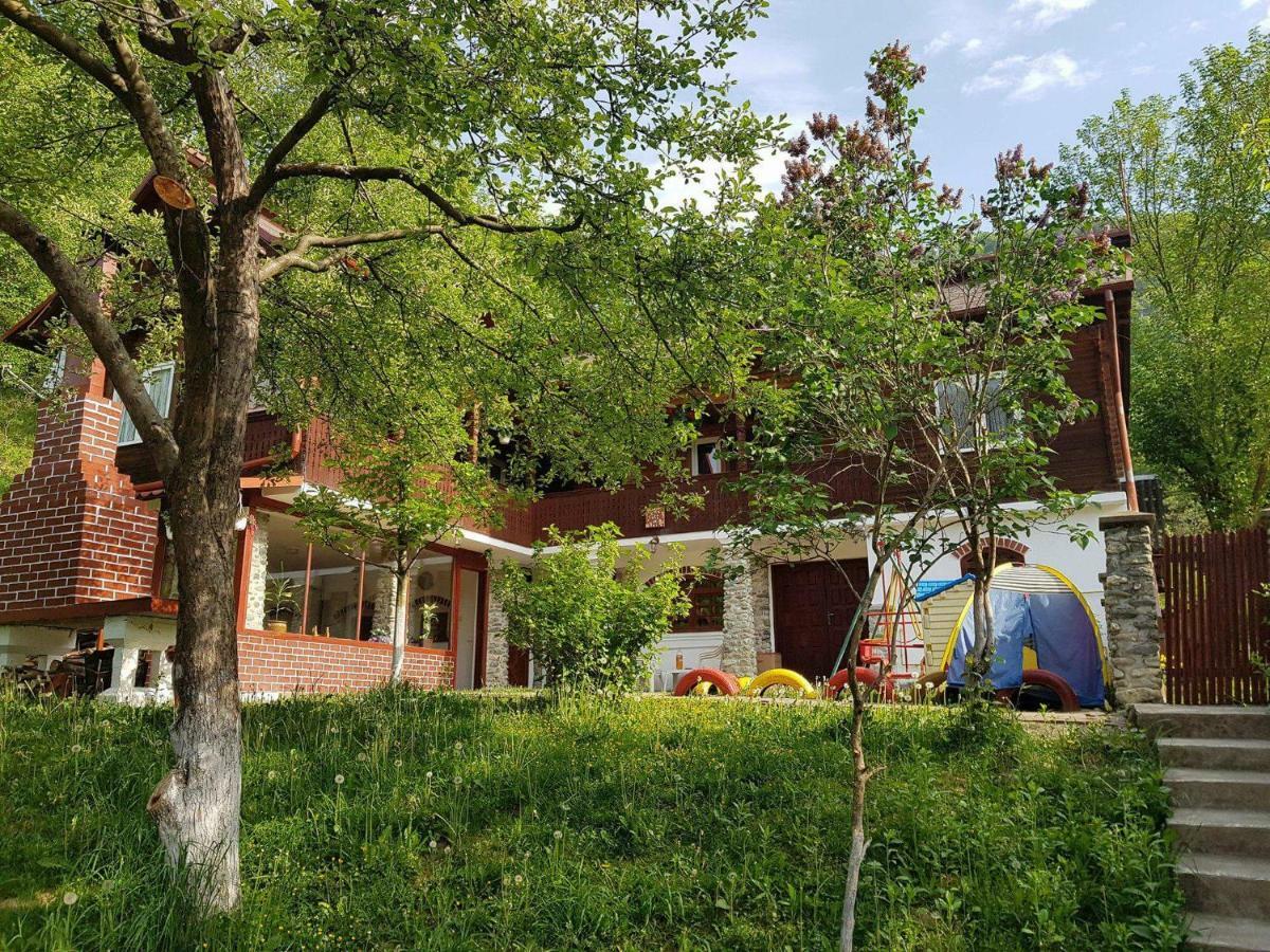 Villa Casa Colt De Rai Brezoi Esterno foto