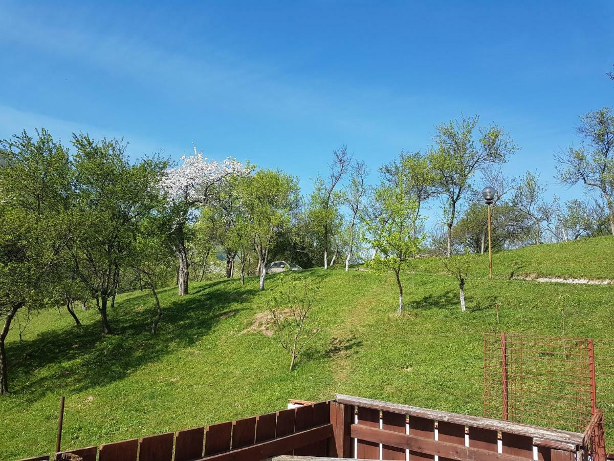Villa Casa Colt De Rai Brezoi Esterno foto